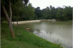 Situ Cihaur